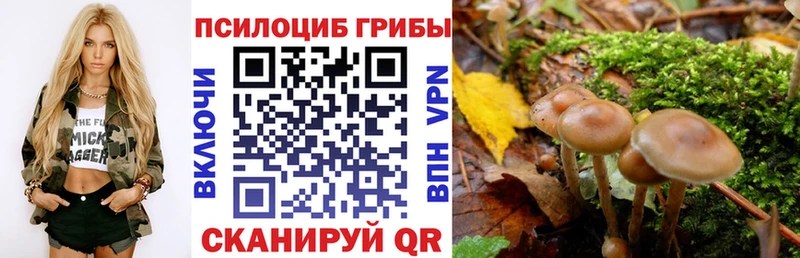 Псилоцибиновые грибы GOLDEN TEACHER  купить наркоту  Нижневартовск 